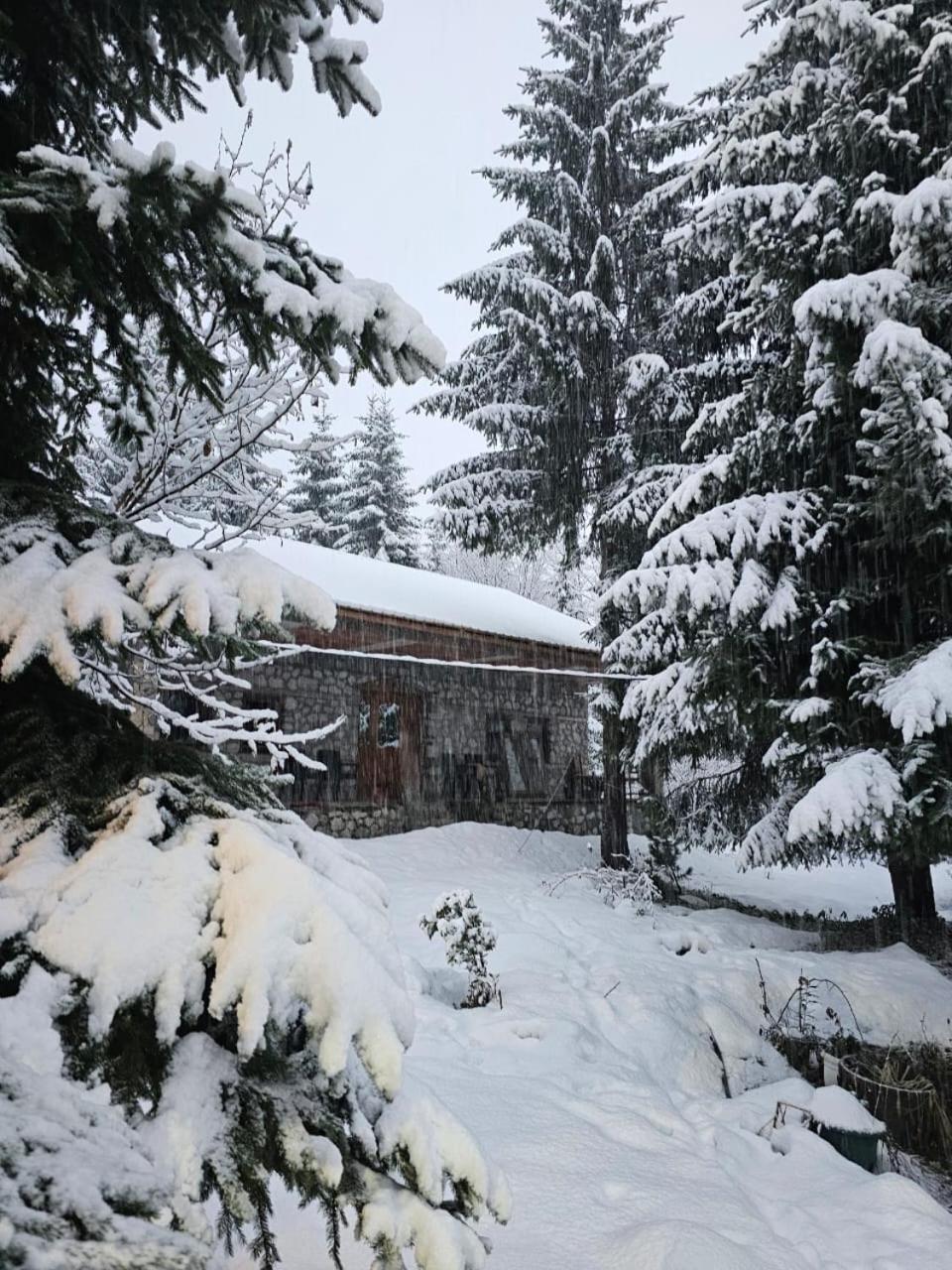 Guest House Hyrmet Demushi Valbone Exterior photo