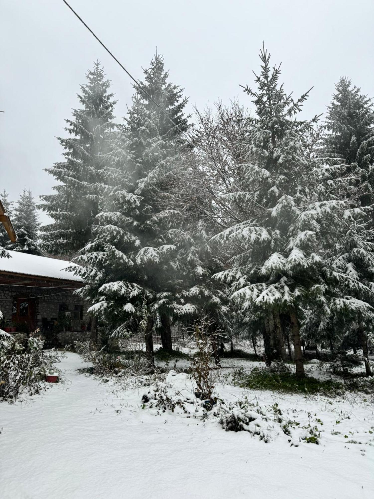 Guest House Hyrmet Demushi Valbone Exterior photo
